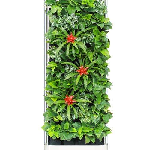 FreshFlow Air Purifier